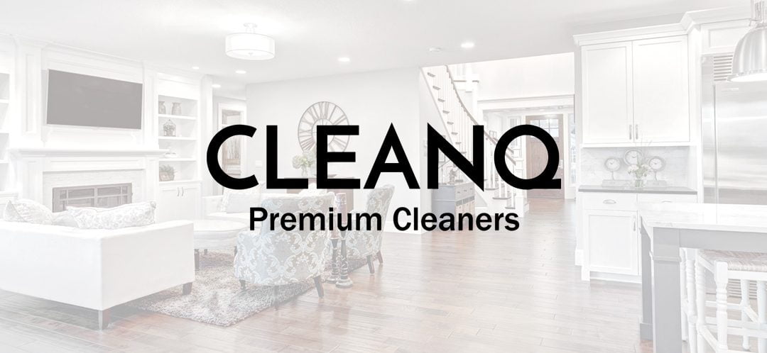CLEANQ Website