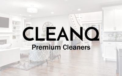 CLEANQ Website