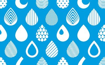 HOW TO: Start Using Drupal CMS?