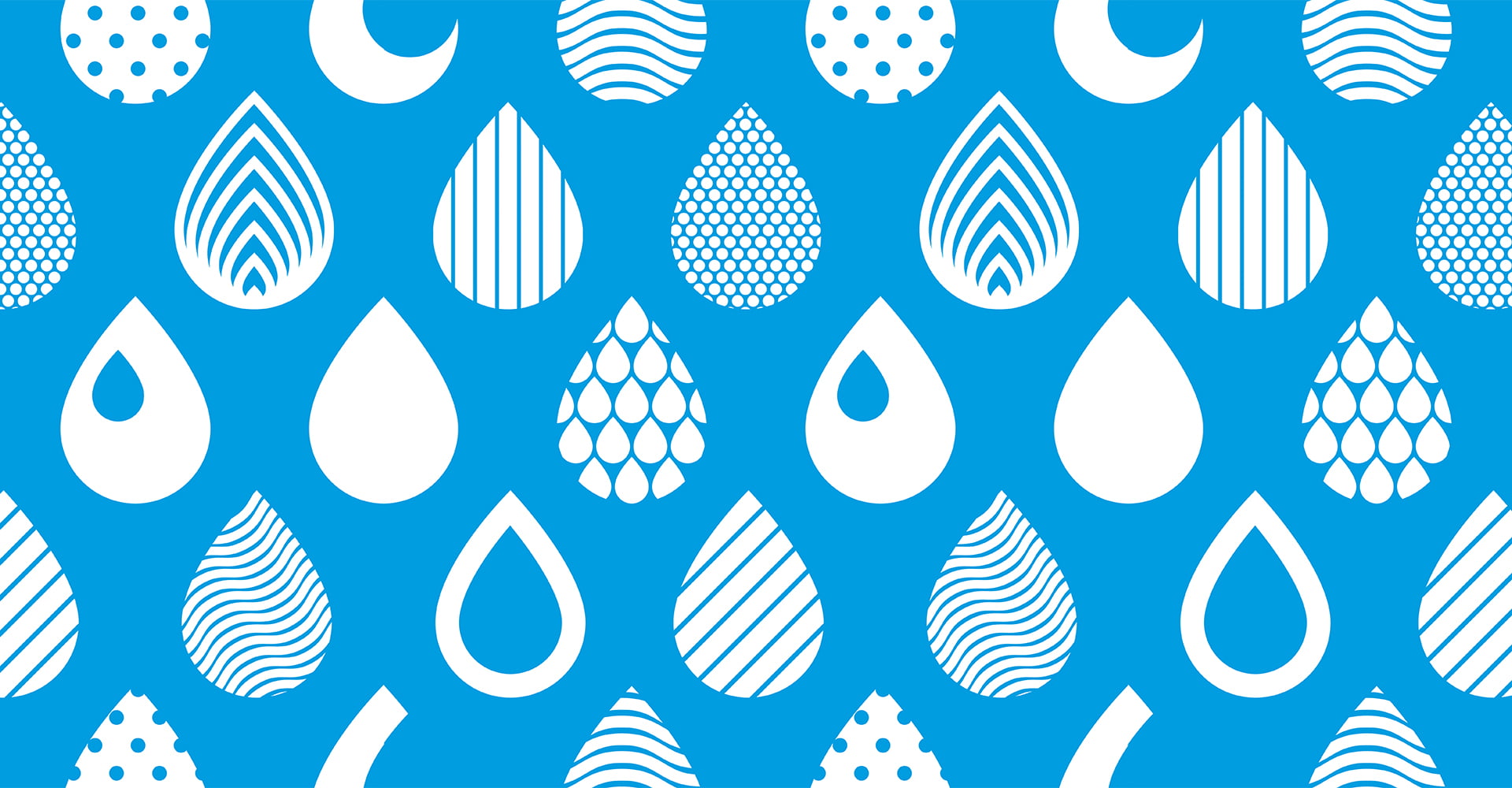 A Guide to Drupal